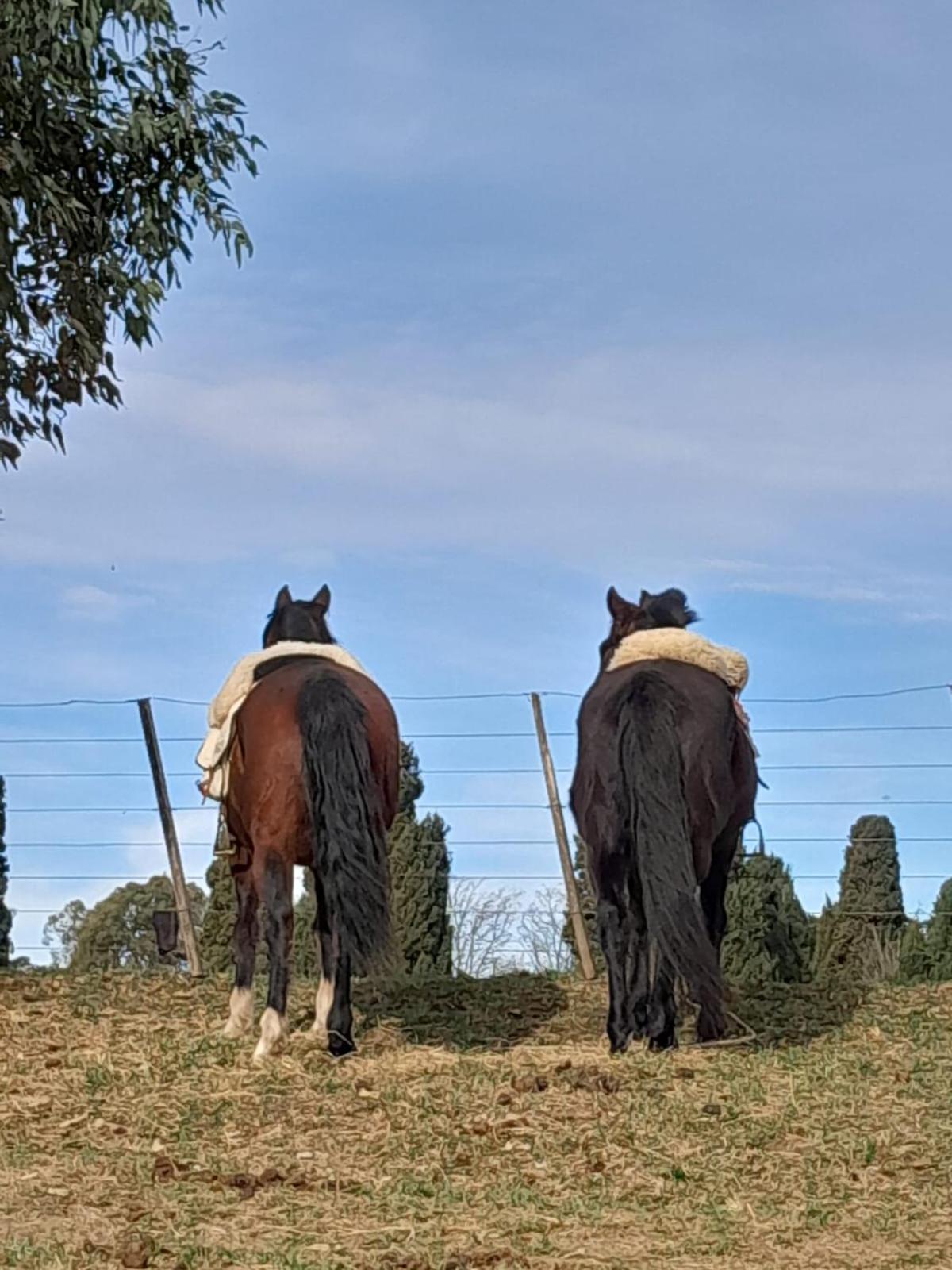 Chacras De Azcona Hosteria Azul Bagian luar foto