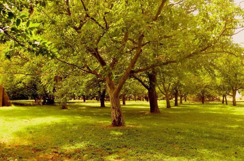 Chacras De Azcona Hosteria Azul Bagian luar foto