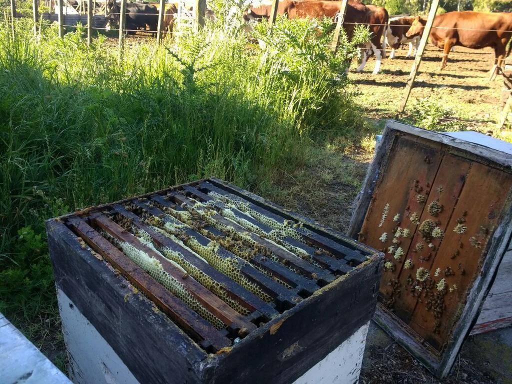 Chacras De Azcona Hosteria Azul Bagian luar foto