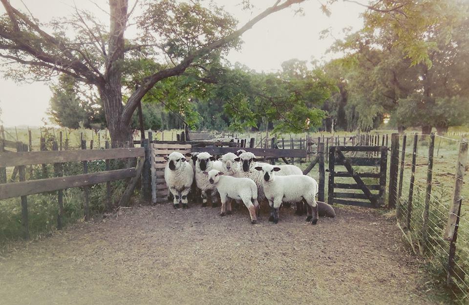 Chacras De Azcona Hosteria Azul Bagian luar foto